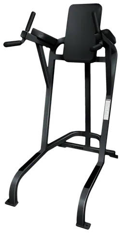 Cybex VKR Leg Raise Chair / Dip (Remanufactured)