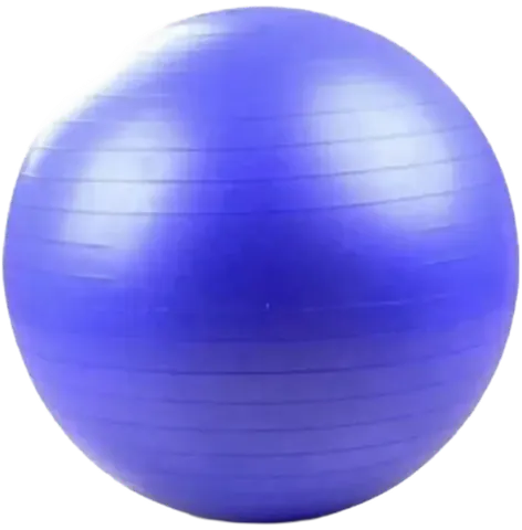 French Fitness Anti Burst Stability Exercise Ball 65cm (New)