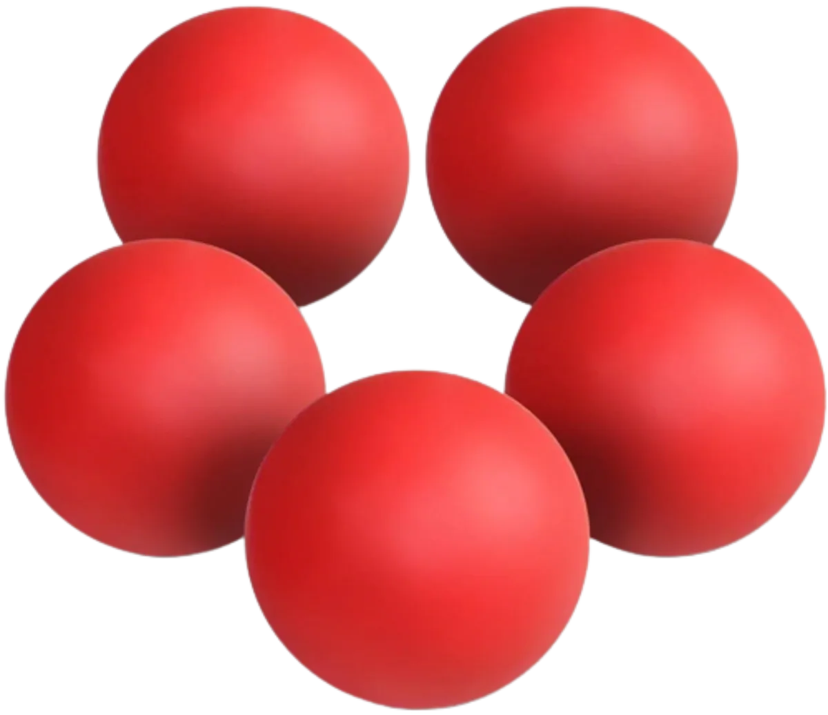 French Fitness Lacrosse Ball Set of 5 (New)