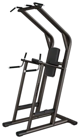 Life Fitness Signature Chin / Dip VKR Leg Raise (Remanufactured)