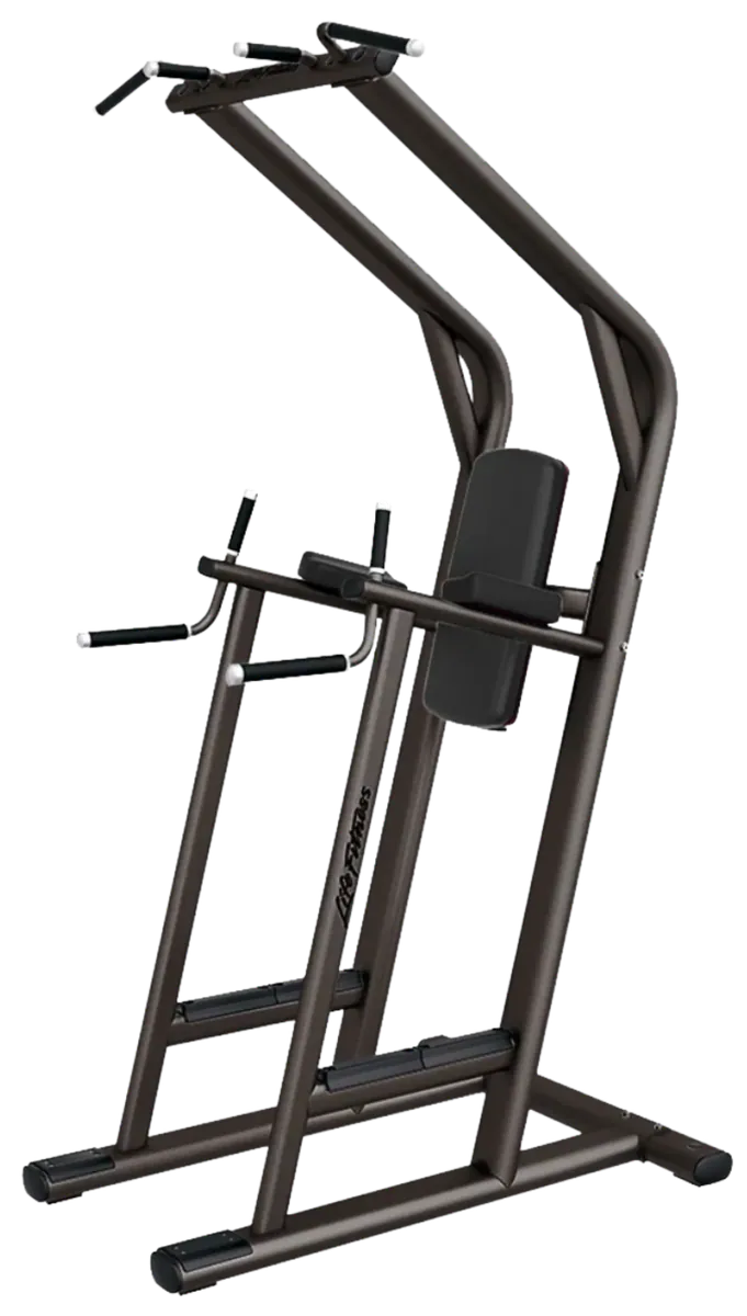 Life Fitness Signature Chin / Dip VKR Leg Raise (Remanufactured)